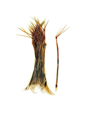 Veniard Hopper Legs - Black
