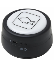 Prologic C-Series Alarm 3+1+1 Red Green Yellow