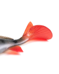 Fox Rage Ultra Naturals Replicant Perch