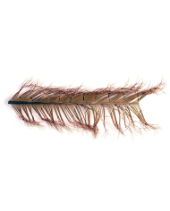 Veniard Cock Pheasant Knotted Tail On Quill