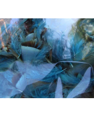 Irish Fly Supplies - Dyed French Partridge Feathers