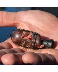 Preston Innovations Carp Maggot Feeders