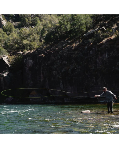 Sage Arrow Fly Rods