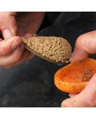 Drennan In Line Flat Method Feeder