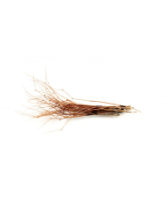 Veniard Daddy Legs