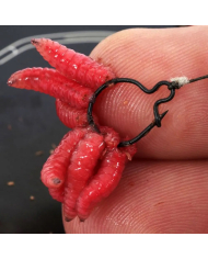 Korda Maggot Klip